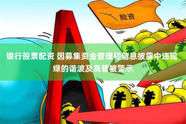 银行股票配资 因募集资金管理和信息披露中违规 绿的谐波及高管被警示