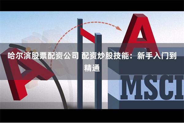 哈尔滨股票配资公司 配资炒股技能：新手入门到精通