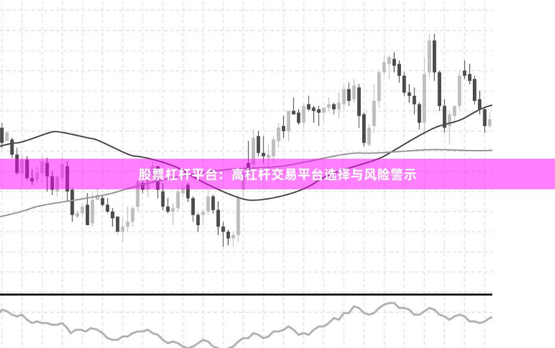 股票杠杆平台：高杠杆交易平台选择与风险警示